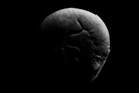 Empty-Bread