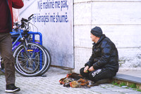 Galline e città – Tirana Chickens and the City – Tirana