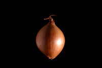 Scalogno