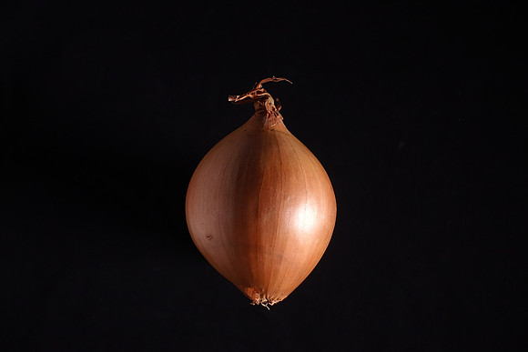 Scalogno