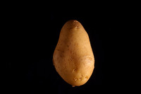 Patata