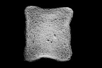 Empty-Toast